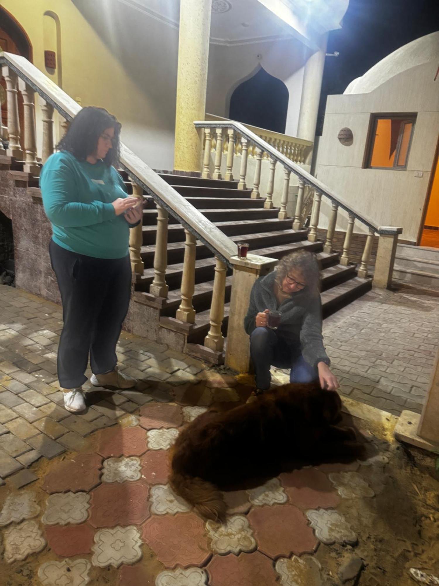 El Hawamdeya Sunset Guesthouse Abusir מראה חיצוני תמונה